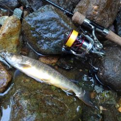 真夏のイワナ釣り